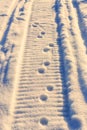 Footprints in the snow on a snowmobile and little animals