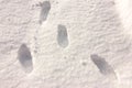 Footprints in snow. Sunny winter day. Deep marks of shoes on wet snow.