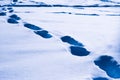 Footprints on the snow surface in a bright winter day Royalty Free Stock Photo
