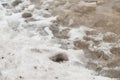 Footprints in the snow thawed Royalty Free Stock Photo