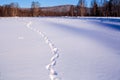 Footprints in the snow. The Urals landscape Royalty Free Stock Photo