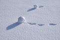 Footprints of snowball in the snow. Winter snow texture natural background Royalty Free Stock Photo