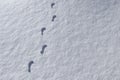 Footprints in snowy landscape Royalty Free Stock Photo