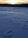 Footprints in snowy landscape with sunset Royalty Free Stock Photo