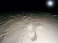 Footprints on a snowy meadow. The faint light of the headlamp makes long shadows. Frozen stalks Royalty Free Stock Photo
