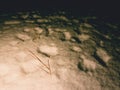 Footprints on a snowy meadow. The faint light of the headlamp makes long shadows. Frozen stalks Royalty Free Stock Photo