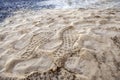Footprints of soles in the sand Royalty Free Stock Photo