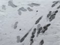 Footprints on the street in the snow Royalty Free Stock Photo