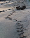 Footprints strewn along a Hawaiian beach.