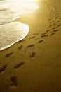 Footprints at sunrise Royalty Free Stock Photo