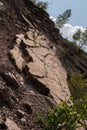 Footprints of tetrapod Ichthyostega Royalty Free Stock Photo