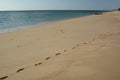 Footprints on Thai Mueang beach. Khao Lampi - Hat Thai Mueang national park. Phang Nga province. Thailand