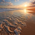 Footprints of Time: Traces of Life in Sand Patterns