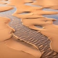 Footprints of Time: Traces of Life in Sand Patterns