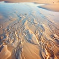 Footprints of Time: Traces of Life in Sand Patterns