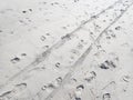 Footprints and tire tracks in sand on beach