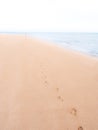 Footprints on a tropical beach fading towards horizon with a woman far away