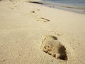Footprints on tropical beach with white sand, Cape Verde Royalty Free Stock Photo