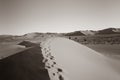 Footprints in undulating ridge lines of dunes of Hidden Vlei, So