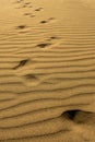 Footprints on the undulating sand