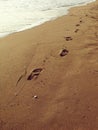 Footprints in the sand as the tide recedes Royalty Free Stock Photo