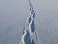 Footprints on velvet snow on a sunny, frosty January day