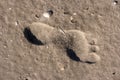 Footprints in the Wadden Sea