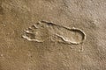 Footprints in the Wadden Sea