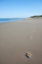 Footprints walking alone on secluded scenic beach