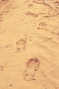 Footprints of a wanderer on the yellow sand