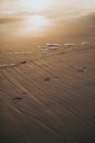 Footprints in the wet sand Royalty Free Stock Photo