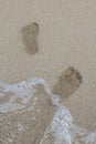 Footprints in wet sand of beach, close-up Royalty Free Stock Photo