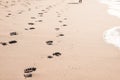 Footprints in wet sand on Margate ocean beach, South Africa