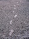 Footprints on wet sand of sea beach Royalty Free Stock Photo