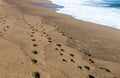 Footprints on Wet Textured Beach Sand Royalty Free Stock Photo