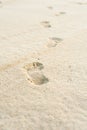 Footprints on white sand Royalty Free Stock Photo