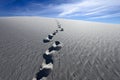 Footprints on White Sands National Monument Royalty Free Stock Photo