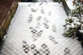 Footprints in white snow on doorstep Royalty Free Stock Photo