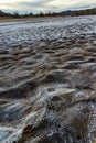 Footprints of wild animal paws on soft wet clay in a bed of a dried river Royalty Free Stock Photo