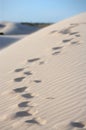 Footprints in a windswept sand dune Royalty Free Stock Photo