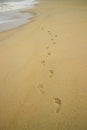 Foots steps on the beach Royalty Free Stock Photo