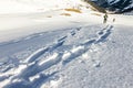 Footsprints in Snow. Two people running downhill through deep snow with snoeshoes.