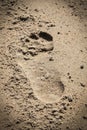 Footstep on the beach sand