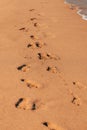 Footstep in beach sand in summer, holiday and vacation background Royalty Free Stock Photo