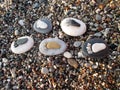 Footsteps stones