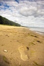 Footstep on the sand Royalty Free Stock Photo