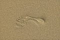 Footstep in sand Royalty Free Stock Photo