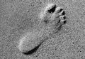 Footstep Royalty Free Stock Photo