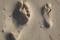 Footstep on the sand. at the beaches of Punta Cana Royalty Free Stock Photo