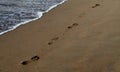 footstep in the sand by the sea in evening